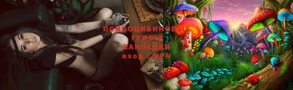 метадон Алексин