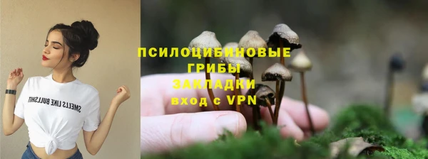 метадон Алексин