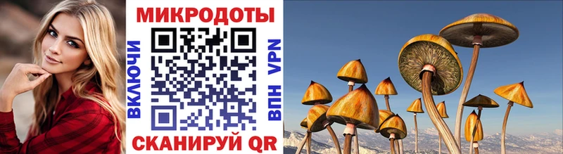 Галлюциногенные грибы GOLDEN TEACHER  маркетплейс клад  Нижнекамск  магазин   