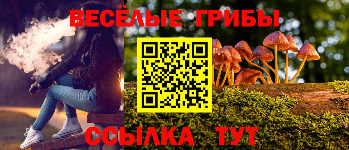 Псилоцибиновые грибы Cubensis Нижнекамск