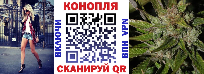 Канабис планчик  площадка Telegram  Нижнекамск 